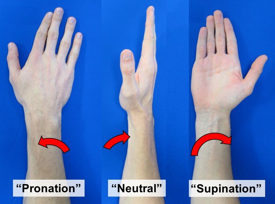 Pronation/Supination Wrist Exercise Wheel